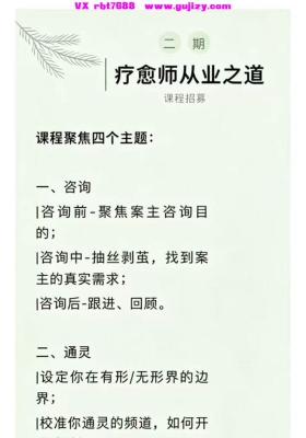 【疗愈师从业之道】荷光女祭司--疗愈师从业之道｜咨询、通灵、疗愈&净化、经营16集视