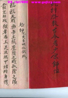 《符咒抓蛇训蛇秘谱》蛇科💰5
